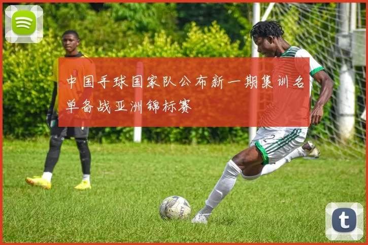 中国手球国家队公布新一期集训名单备战亚洲锦标赛