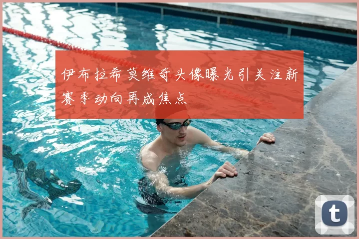 伊布拉希莫维奇头像曝光引关注新赛季动向再成焦点